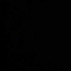 Meet your Posher, Ally